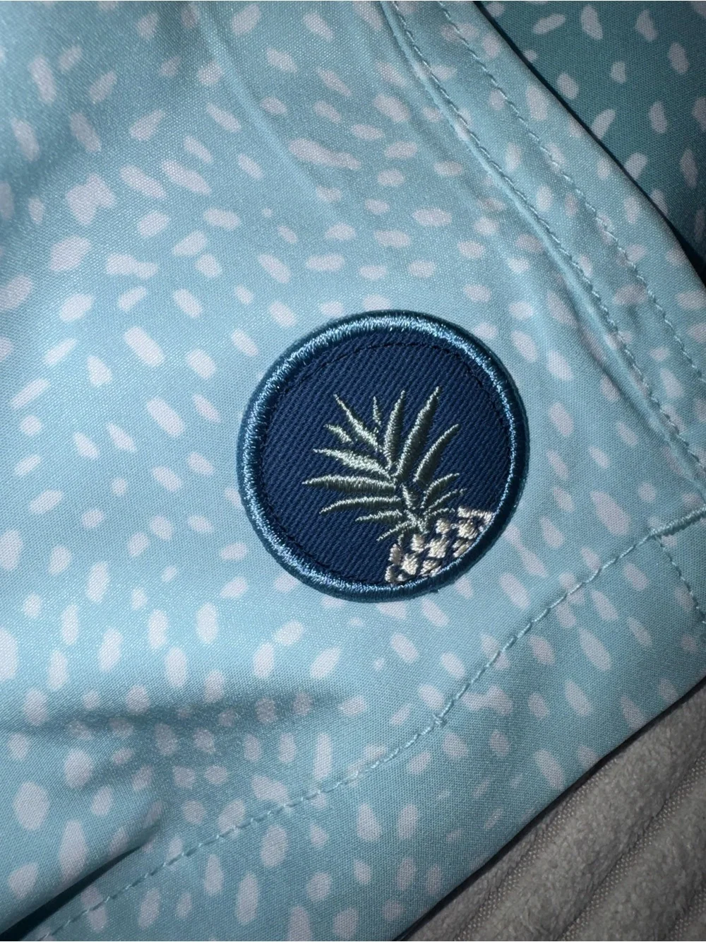 chubbies Teal & Light Blue Patterned Hybrid Shorts